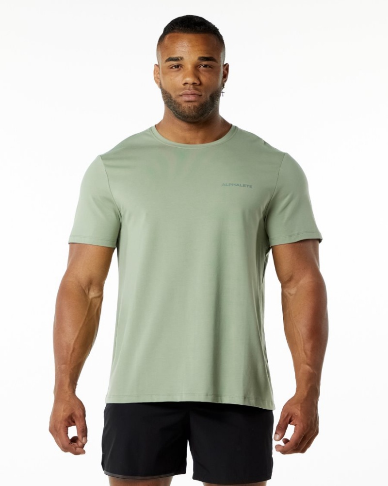 Chemises Alphalete Classiche Tee Sage Homme | GSA-31613860