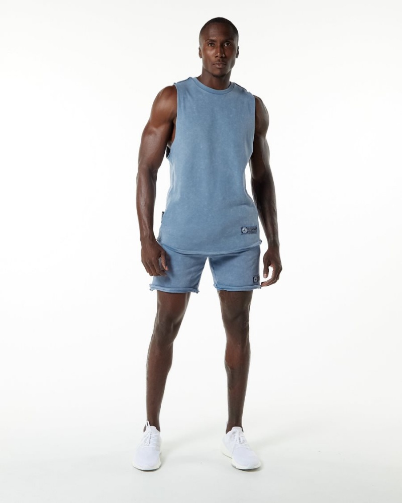 Stringers Alphalete Very Terry Cutoff Bleu Homme | FQI-04628646