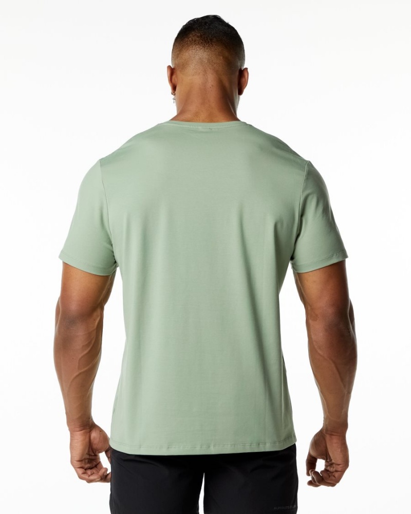 Chemises Alphalete Classiche Tee Sage Homme | GSA-31613860