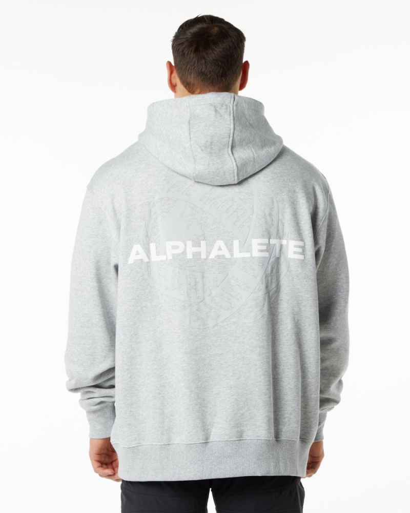 Sweat a Capuche Alphalete Unity Hoodie Grise Homme | PIB-92294851