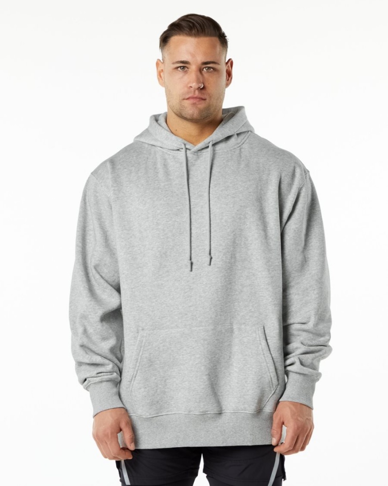 Sweat a Capuche Alphalete Unity Hoodie Grise Homme | PIB-92294851