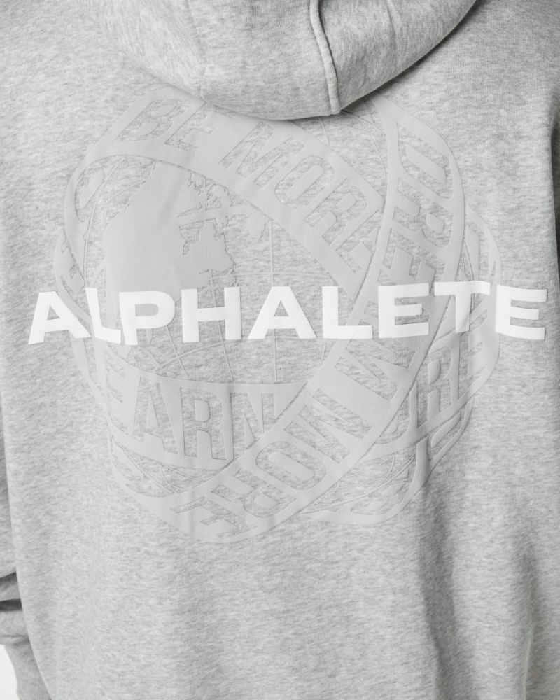 Sweat a Capuche Alphalete Unity Hoodie Grise Homme | PIB-92294851