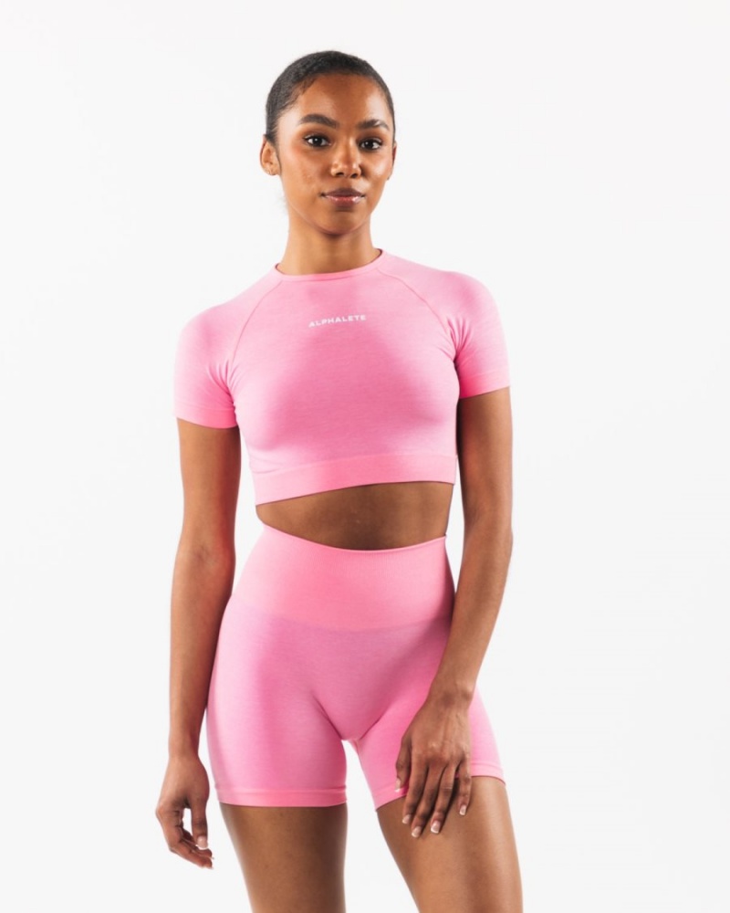 Chemises Alphalete Amplify SS Crop Cotton Candy Femme | NAE-47385009