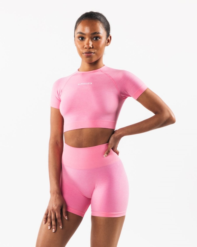 Chemises Alphalete Amplify SS Crop Cotton Candy Femme | NAE-47385009