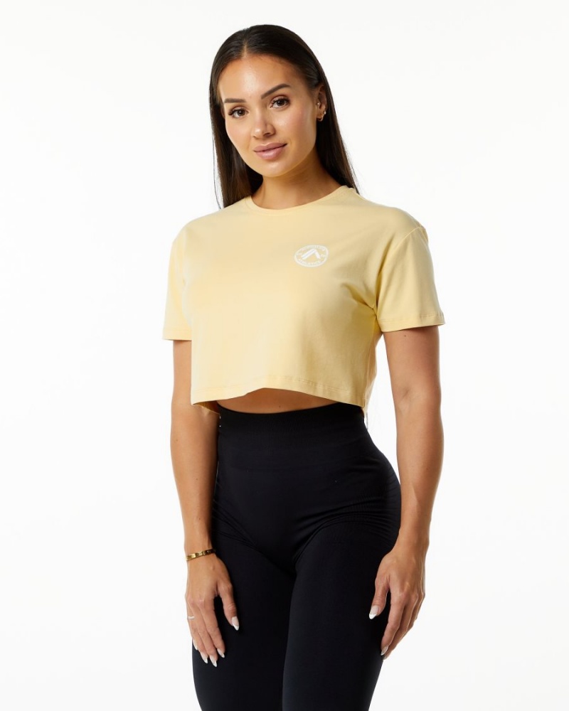 Chemises Alphalete Dynasty Crop Daffodil Femme | XKK-49995943