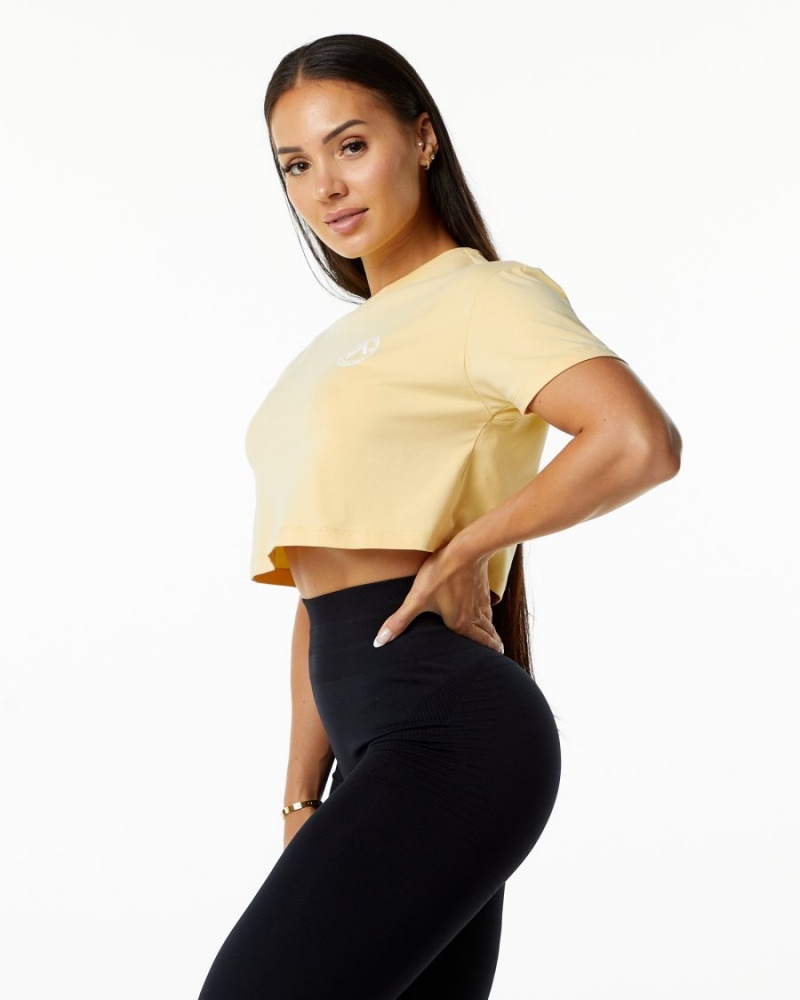 Chemises Alphalete Dynasty Crop Daffodil Femme | XKK-49995943