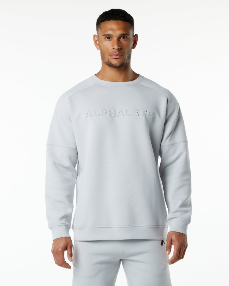 Vestes Alphalete ELMTS Crewneck Pull Grise Homme | PEI-35852115