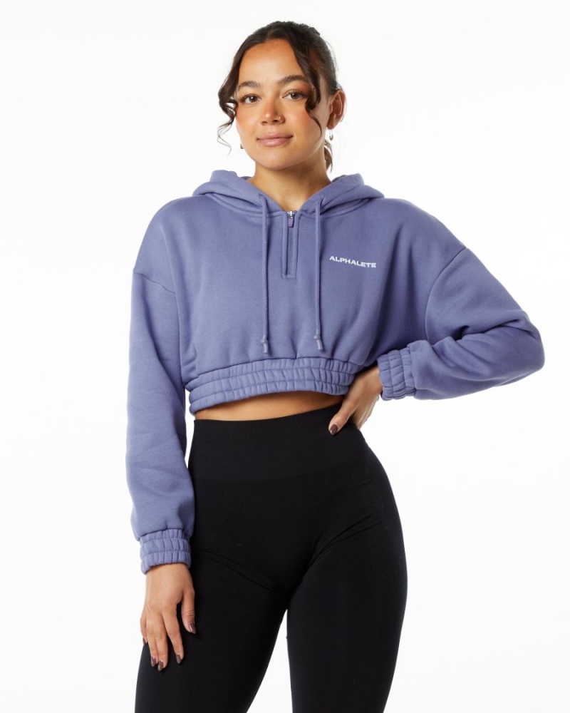 Sweat a Capuche Alphalete Classiche Capital Crop Hoodie Digital Violet Femme | CDW-34456131