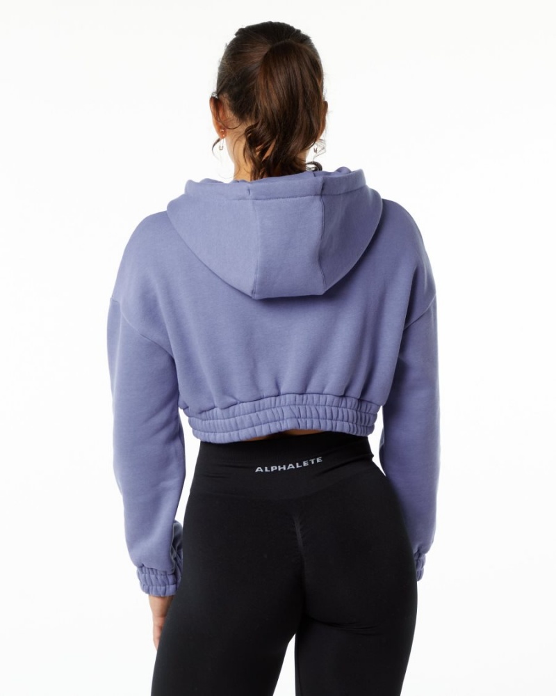 Sweat a Capuche Alphalete Classiche Capital Crop Hoodie Digital Violet Femme | CDW-34456131