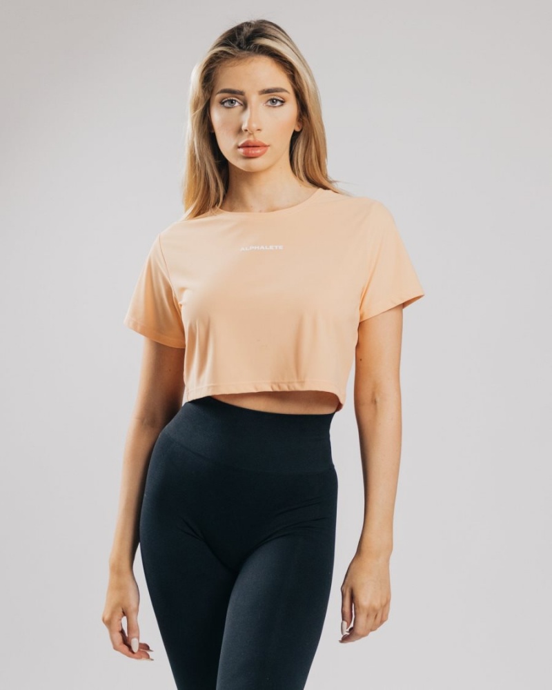 Chemises Alphalete Signature Mesh Crop Orange Femme | QAM-14254882