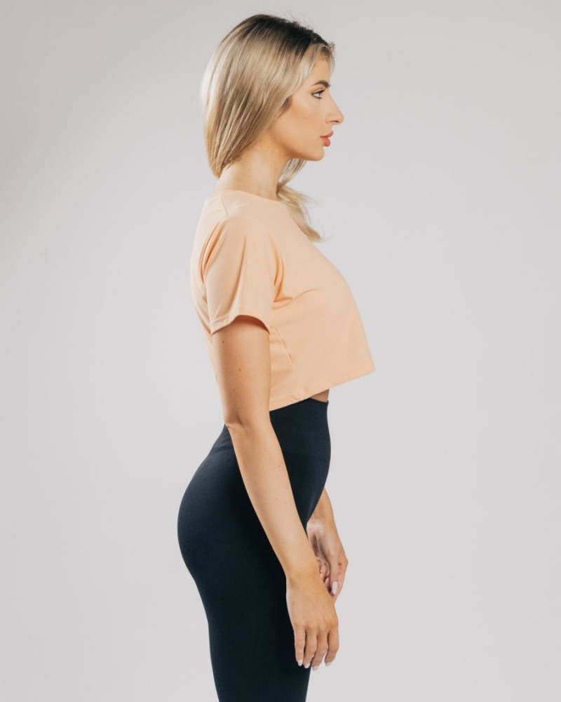 Chemises Alphalete Signature Mesh Crop Orange Femme | QAM-14254882