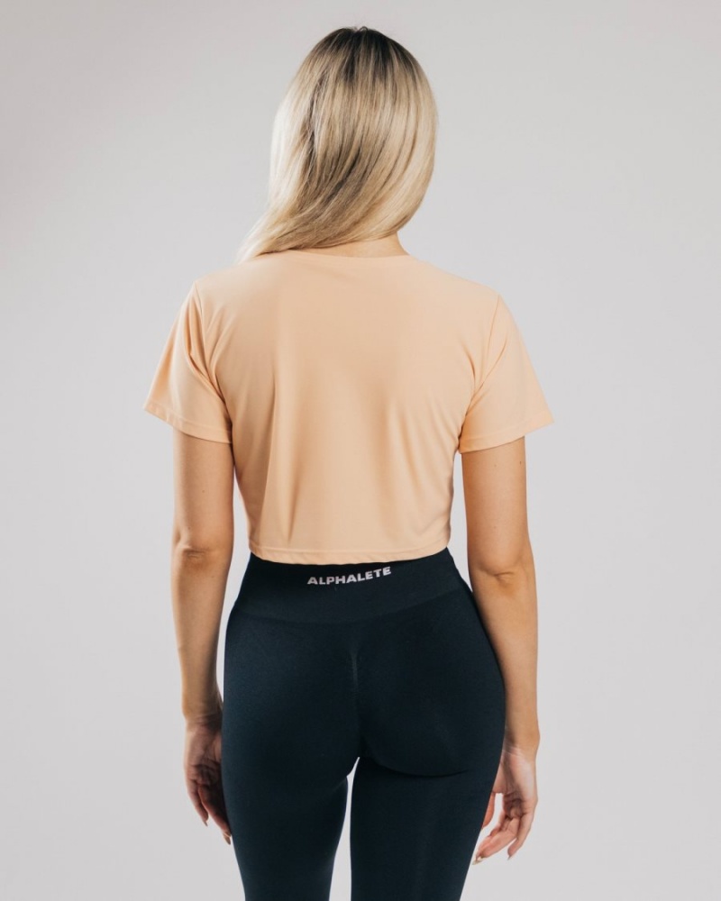 Chemises Alphalete Signature Mesh Crop Orange Femme | QAM-14254882