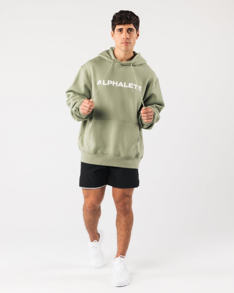 Sweat a Capuche Alphalete Core Hoodie Sage Homme | JHA-62882245