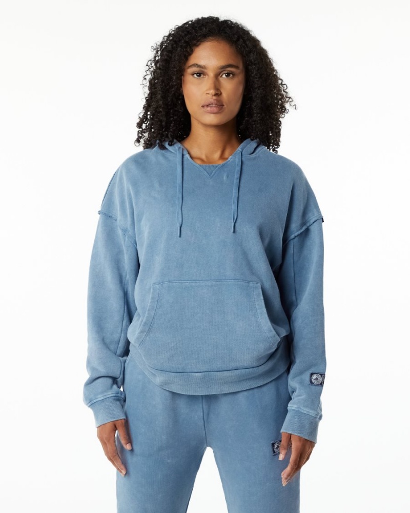 Sweat a Capuche Alphalete Very Terry Hoodie Bleu Femme | OMI-16497035