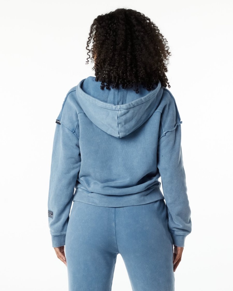 Sweat a Capuche Alphalete Very Terry Hoodie Bleu Femme | OMI-16497035