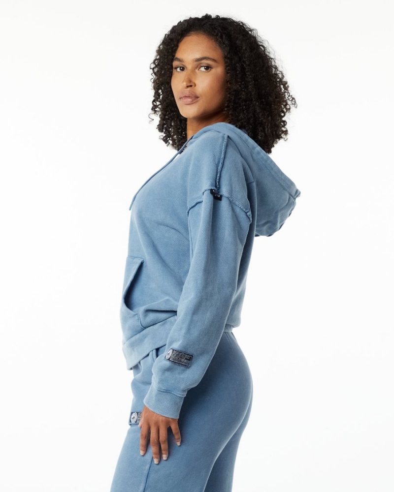 Sweat a Capuche Alphalete Very Terry Hoodie Bleu Femme | OMI-16497035