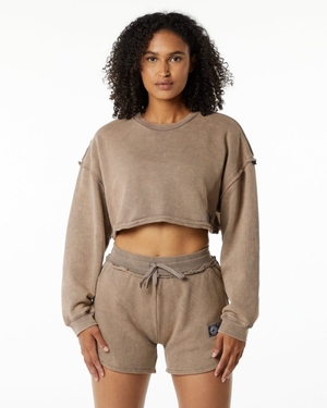 Vestes Alphalete Very Terry Crop Pullover Smokey Quartz Femme | JUI-79843665