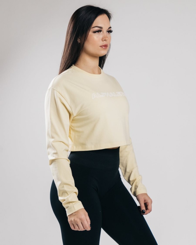 Manches Longues Alphalete Outlined Long Sleeve Crop Sea Salt Femme | EWT-77196105