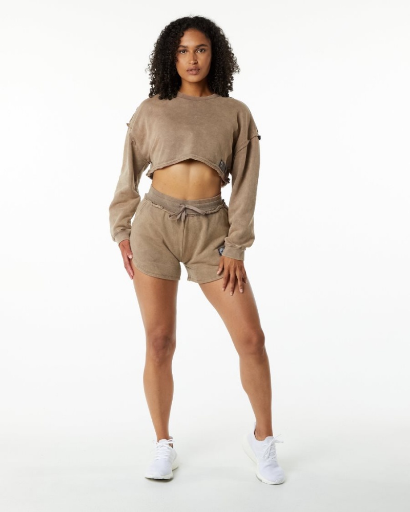 Vestes Alphalete Very Terry Crop Pullover Smokey Quartz Femme | JUI-79843665