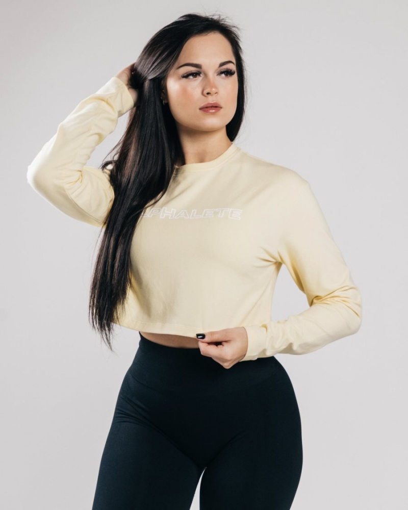 Manches Longues Alphalete Outlined Long Sleeve Crop Sea Salt Femme | EWT-77196105