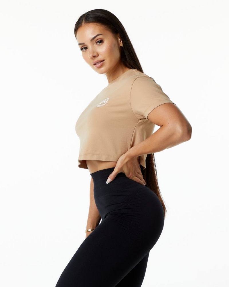 Chemises Alphalete Dynasty Crop Taupe Femme | NKY-63846111