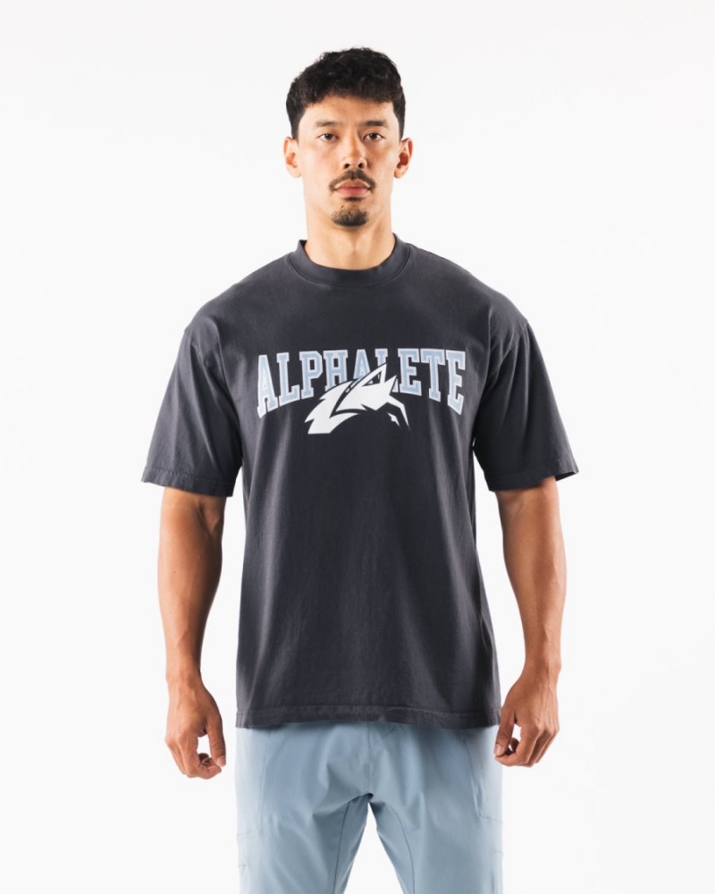 Chemises Alphalete Wolf Head Tee Bleu Homme | BGY-11015998