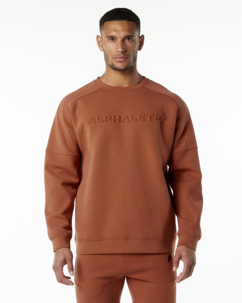 Vestes Alphalete ELMTS Crewneck Pull Brick Homme | QOH-81670409