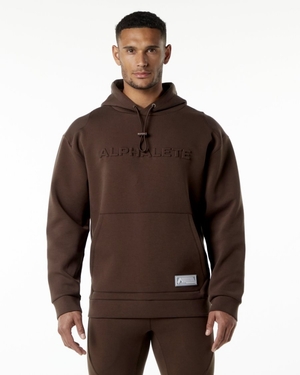 Sweat a Capuche Alphalete ELMTS Hoodie Marron Homme | YZX-42812007