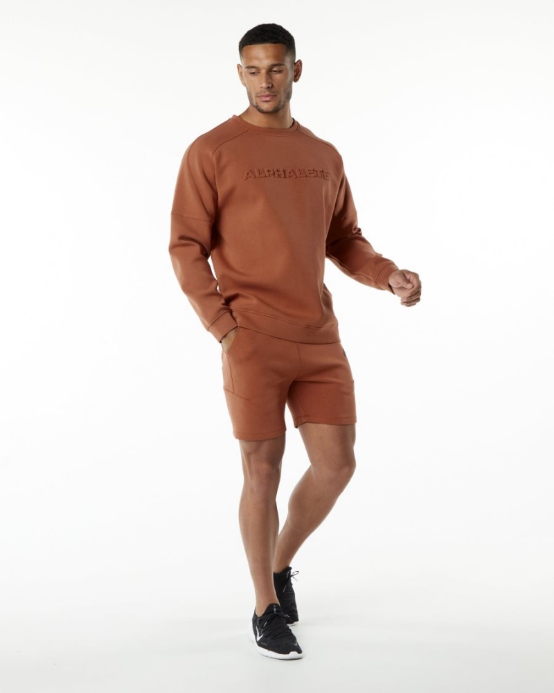 Vestes Alphalete ELMTS Crewneck Pull Brick Homme | QOH-81670409