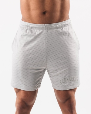 Short Alphalete AA Mesh Corta 6” Grise Homme | PZN-00484926