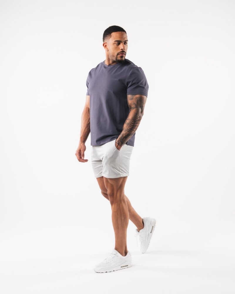 Short Alphalete AA Mesh Corta 6” Grise Homme | PZN-00484926