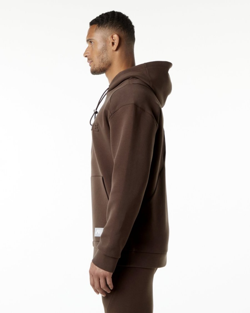 Sweat a Capuche Alphalete ELMTS Hoodie Marron Homme | YZX-42812007