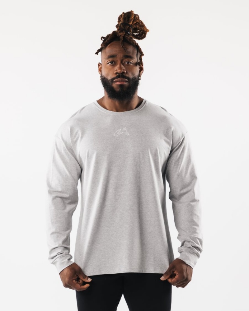 Chemises Alphalete Wolf Head LS Tee Grise Homme | TCI-55119806