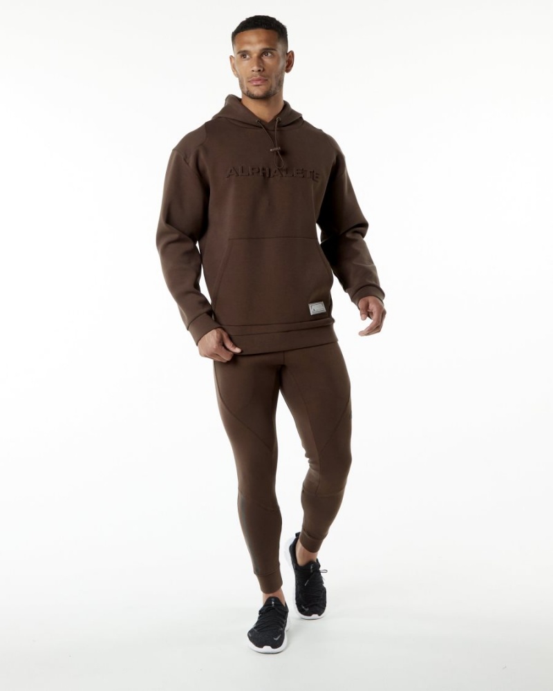 Sweat a Capuche Alphalete ELMTS Hoodie Marron Homme | YZX-42812007