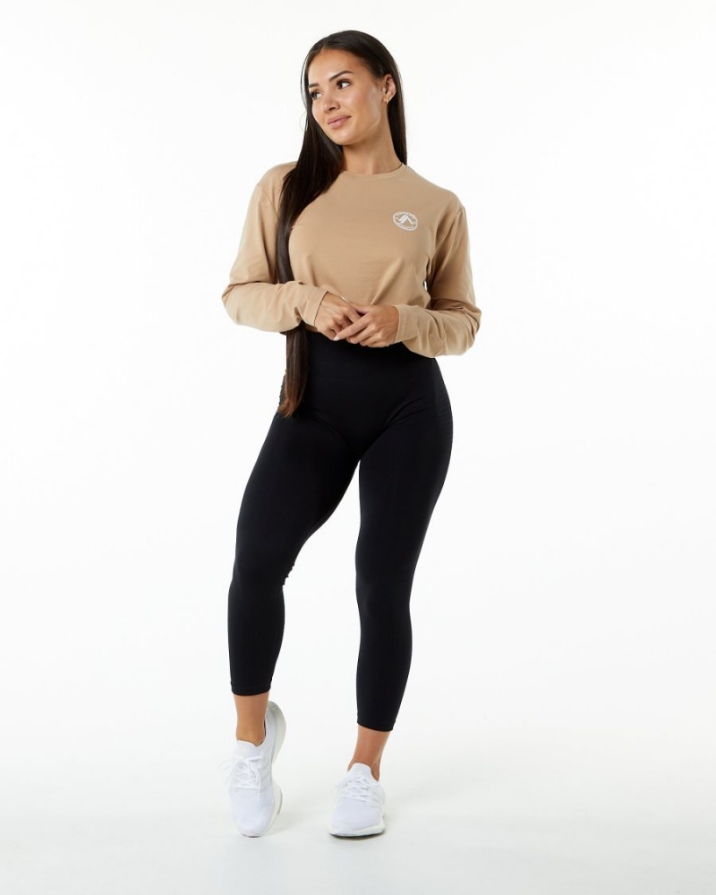 Manches Longues Alphalete Dynasty LS Crop Taupe Femme | BUK-14799746