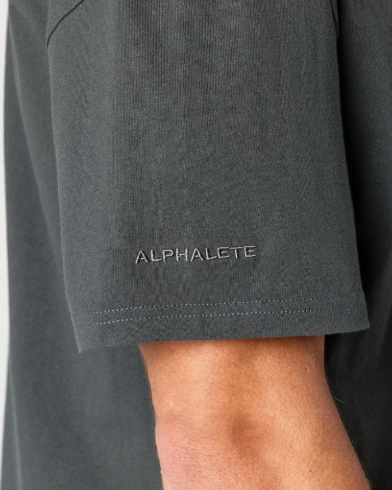 Chemises Alphalete Heavy Coton Core Tee Shadow Homme | ZUB-61978868