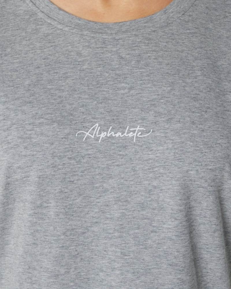 Chemises Alphalete Signature Oversized Tee Grise Femme | NPD-56105355