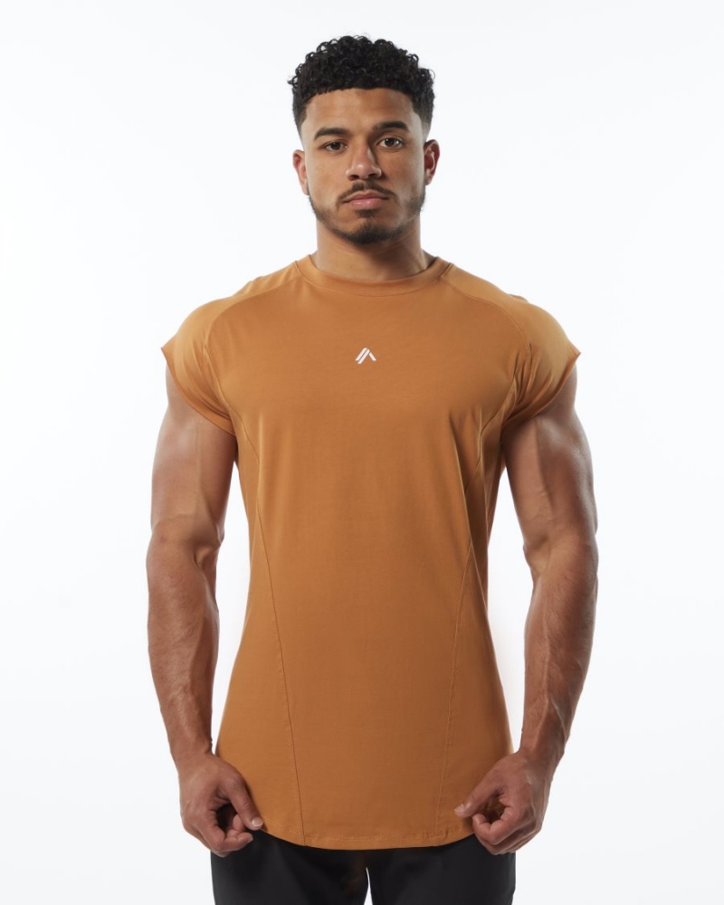 Stringers Alphalete Velocity Sans Manches Tee Chestnut Homme | XEE-70354096