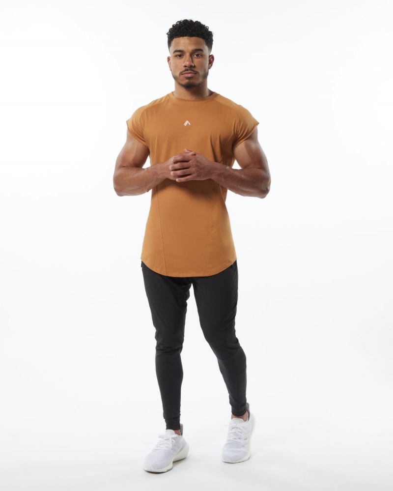 Stringers Alphalete Velocity Sans Manches Tee Chestnut Homme | XEE-70354096