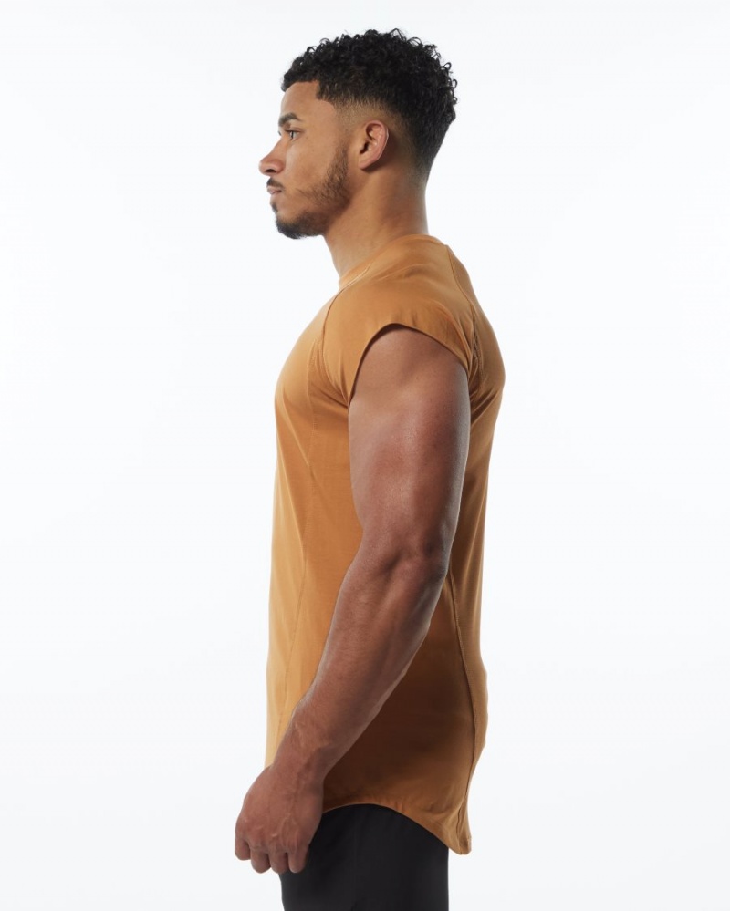 Stringers Alphalete Velocity Sans Manches Tee Chestnut Homme | XEE-70354096