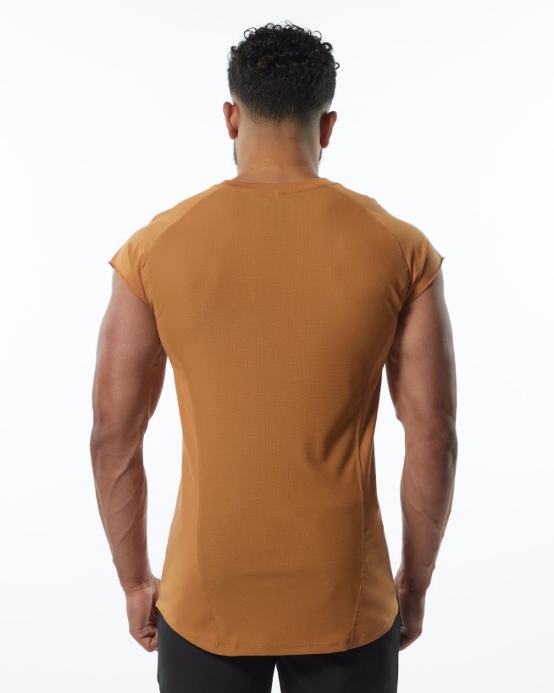 Stringers Alphalete Velocity Sans Manches Tee Chestnut Homme | XEE-70354096