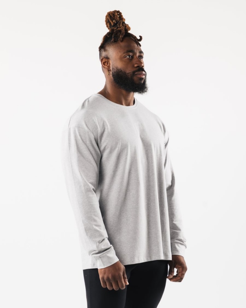 Chemises Alphalete Wolf Head LS Tee Grise Homme | TCI-55119806