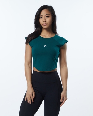 Chemises Alphalete Velocity Crop Tee Velvet Teal Femme | SSU-51395706