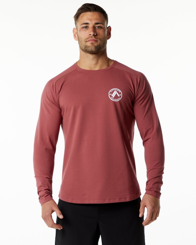 Chemises Alphalete Dynasty LS Tee Gingerbread Homme | RER-87390865