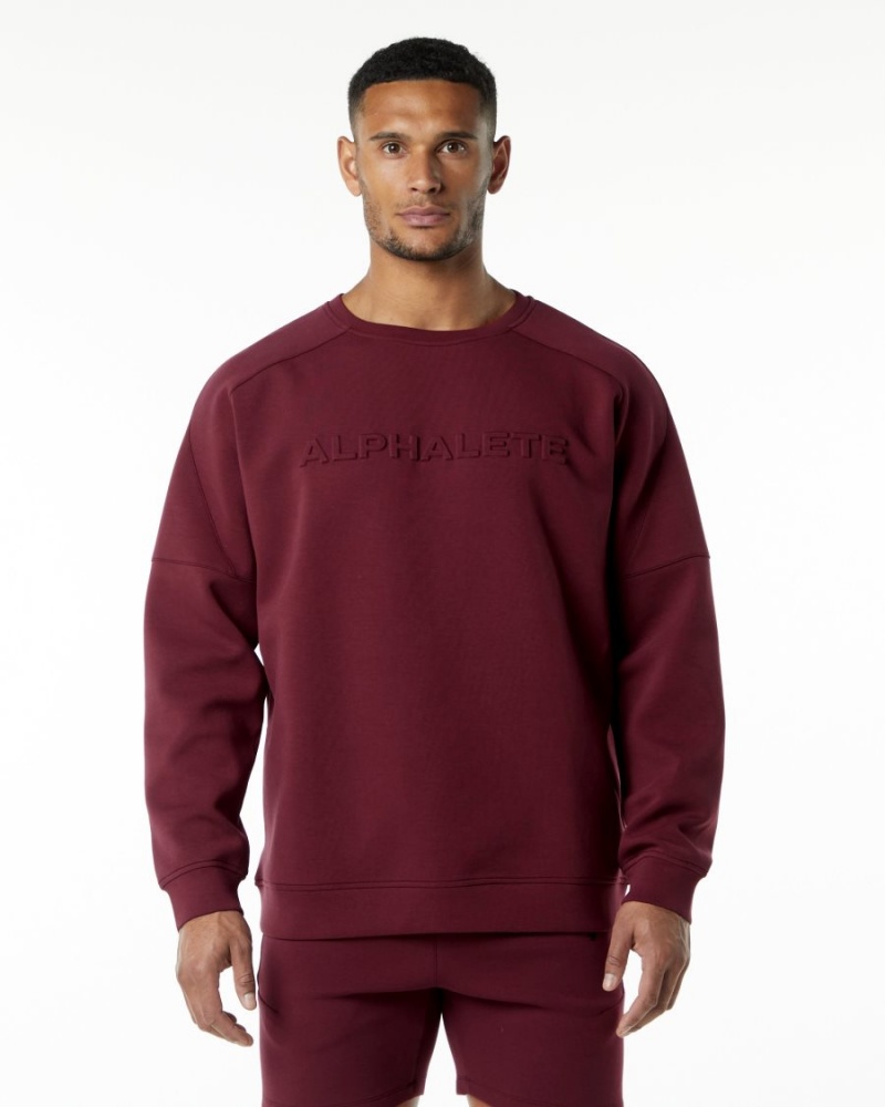 Vestes Alphalete ELMTS Crewneck Pull Bordeaux Homme | IAL-31943359