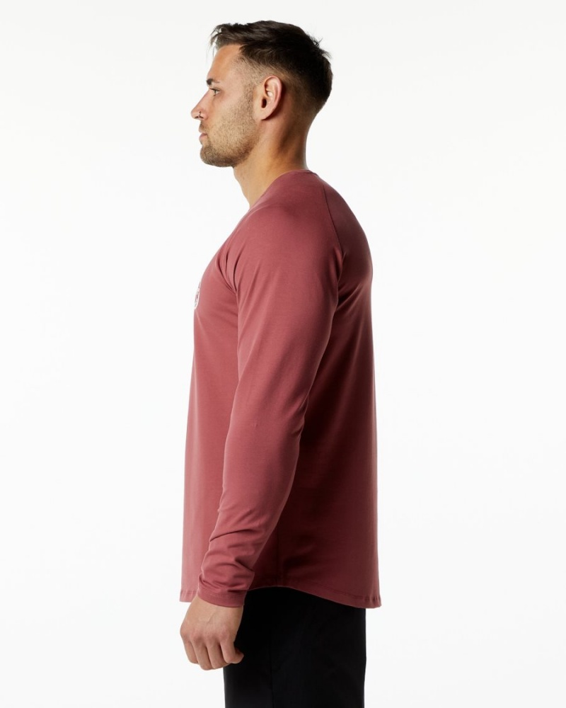 Chemises Alphalete Dynasty LS Tee Gingerbread Homme | RER-87390865