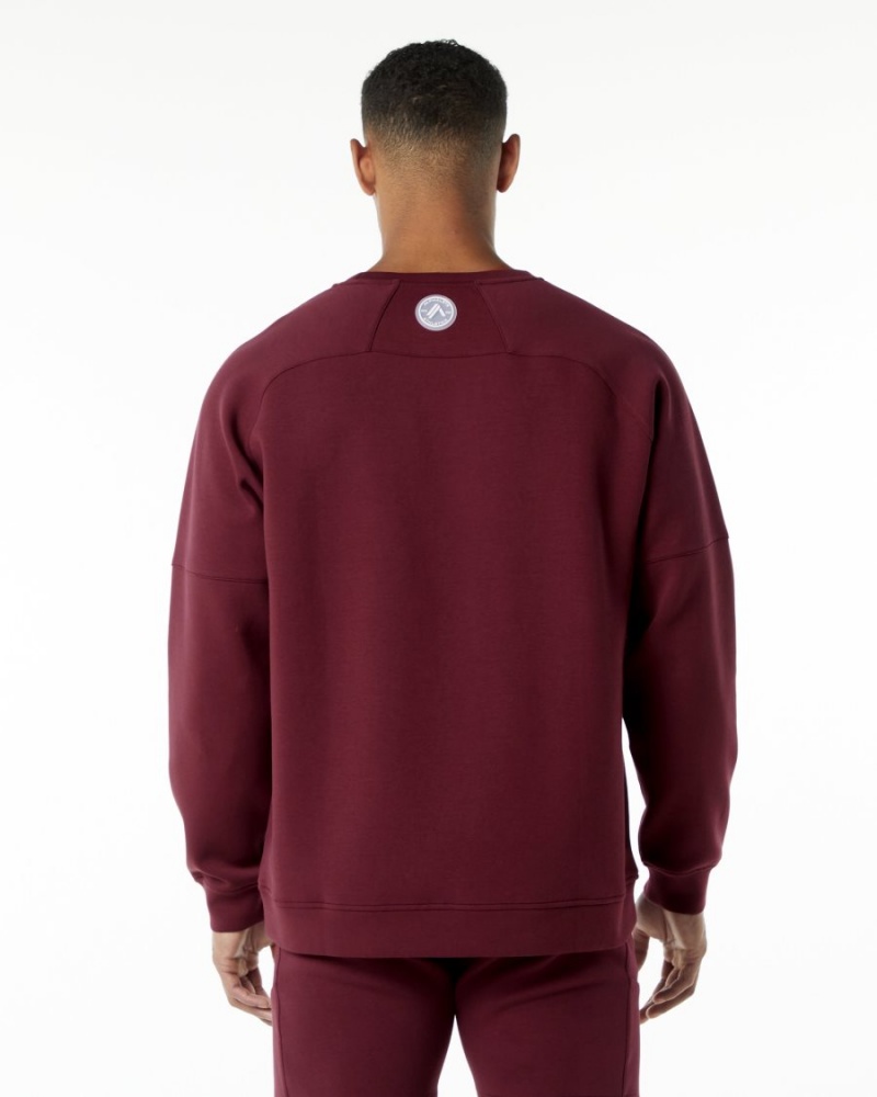 Vestes Alphalete ELMTS Crewneck Pull Bordeaux Homme | IAL-31943359