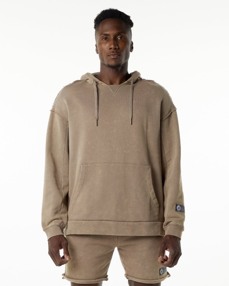 Sweat a Capuche Alphalete Very Terry Hoodie Smokey Quartz Homme | RSI-31207263