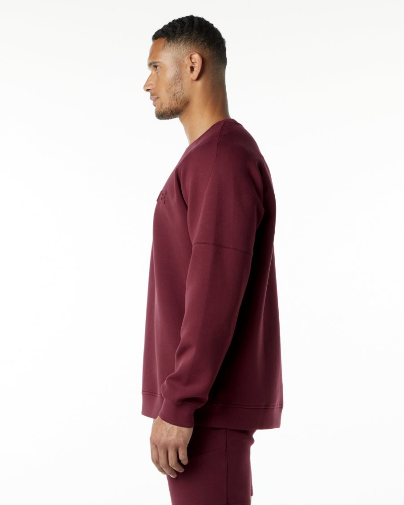 Vestes Alphalete ELMTS Crewneck Pull Bordeaux Homme | IAL-31943359