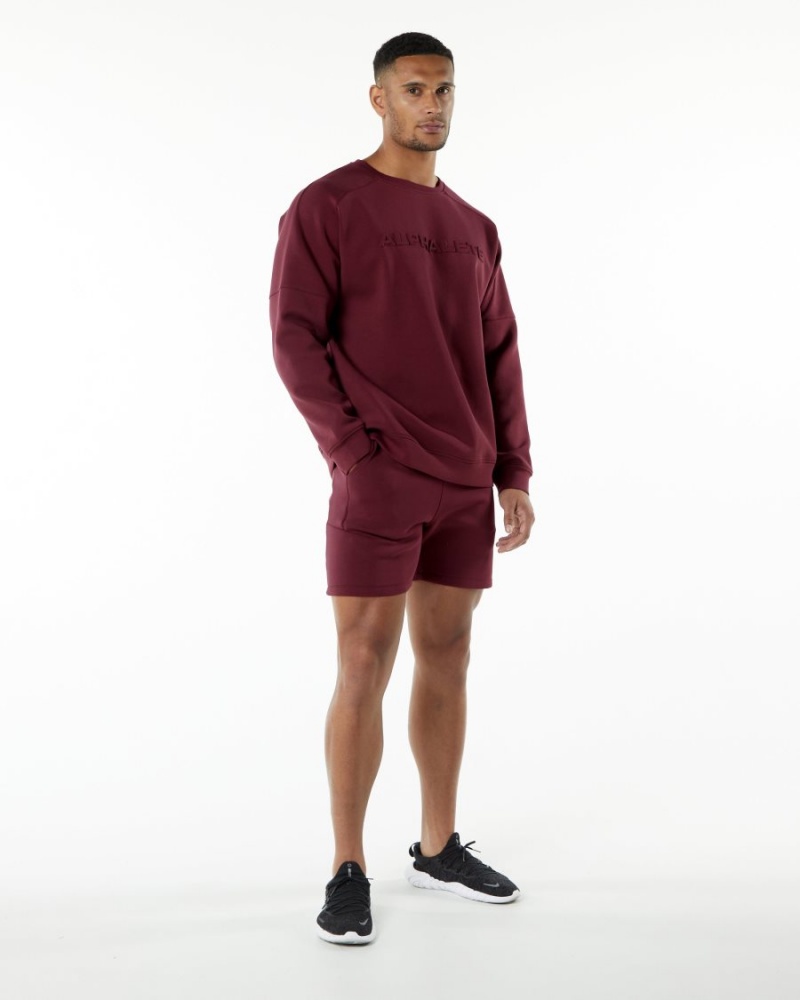 Vestes Alphalete ELMTS Crewneck Pull Bordeaux Homme | IAL-31943359